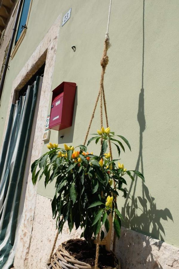 La Casa Dei Ciclisti Lägenhet Ponti sul Mincio Exteriör bild